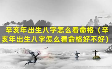 辛亥年出生八字怎么看命格（辛亥年出生八字怎么看命格好不好）