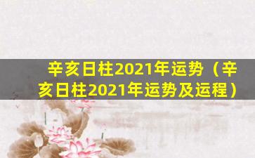 辛亥日柱2021年运势（辛亥日柱2021年运势及运程）