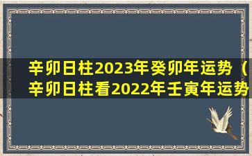 辛卯日柱2023年癸卯年运势（辛卯日柱看2022年壬寅年运势）