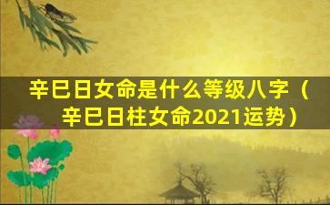 辛巳日女命是什么等级八字（辛巳日柱女命2021运势）