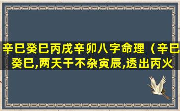 辛巳癸巳丙戌辛卯八字命理（辛巳癸巳,两天干不杂寅辰,透出丙火,命主都极其显贵）