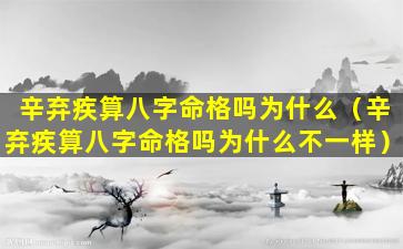 辛弃疾算八字命格吗为什么（辛弃疾算八字命格吗为什么不一样）