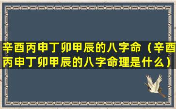 辛酉丙申丁卯甲辰的八字命（辛酉丙申丁卯甲辰的八字命理是什么）