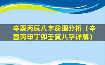 辛酉丙辰八字命理分析（辛酉丙申丁卯壬寅八字详解）