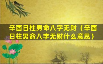 辛酉日柱男命八字无财（辛酉日柱男命八字无财什么意思）