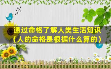 通过命格了解人类生活知识（人的命格是根据什么算的）