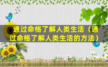 通过命格了解人类生活（通过命格了解人类生活的方法）