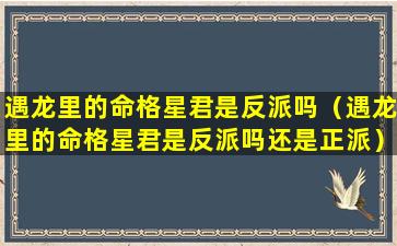 遇龙里的命格星君是反派吗（遇龙里的命格星君是反派吗还是正派）