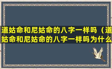 道姑命和尼姑命的八字一样吗（道姑命和尼姑命的八字一样吗为什么）