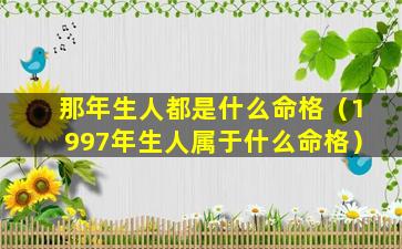 那年生人都是什么命格（1997年生人属于什么命格）