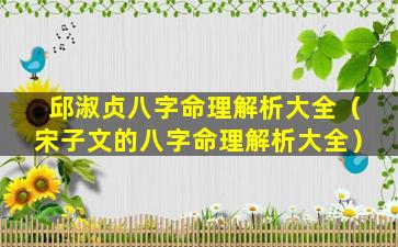 邱淑贞八字命理解析大全（宋子文的八字命理解析大全）