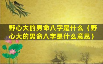 野心大的男命八字是什么（野心大的男命八字是什么意思）