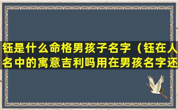 钰是什么命格男孩子名字（钰在人名中的寓意吉利吗用在男孩名字还是女孩名字好）