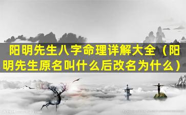 阳明先生八字命理详解大全（阳明先生原名叫什么后改名为什么）