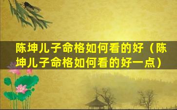 陈坤儿子命格如何看的好（陈坤儿子命格如何看的好一点）