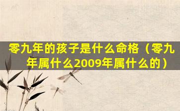 零九年的孩子是什么命格（零九年属什么2009年属什么的）