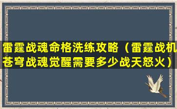 雷霆战魂命格洗练攻略（雷霆战机苍穹战魂觉醒需要多少战天怒火）