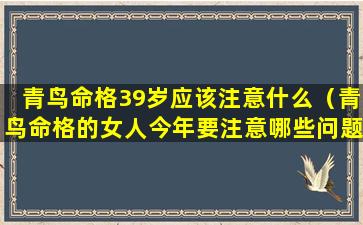 青鸟命格39岁应该注意什么（青鸟命格的女人今年要注意哪些问题）