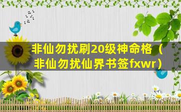 非仙勿扰刷20级神命格（非仙勿扰仙界书签fxwr）