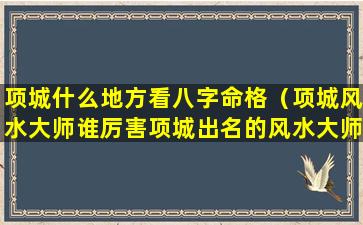 项城什么地方看八字命格（项城风水大师谁厉害项城出名的风水大师是谁）