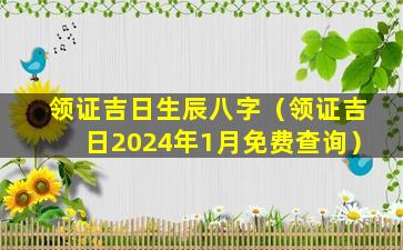 领证吉日生辰八字（领证吉日2024年1月免费查询）