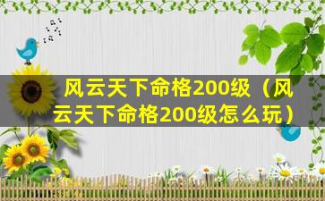 风云天下命格200级（风云天下命格200级怎么玩）