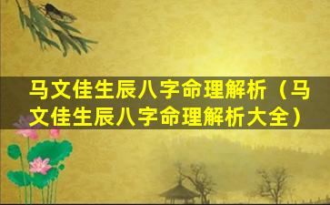 马文佳生辰八字命理解析（马文佳生辰八字命理解析大全）