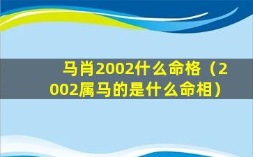 马肖2002什么命格（2002属马的是什么命相）