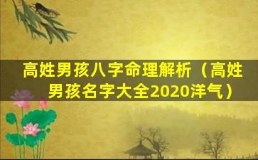 高姓男孩八字命理解析（高姓男孩名字大全2020洋气）