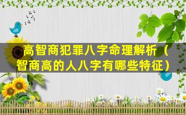 高智商犯罪八字命理解析（智商高的人八字有哪些特征）