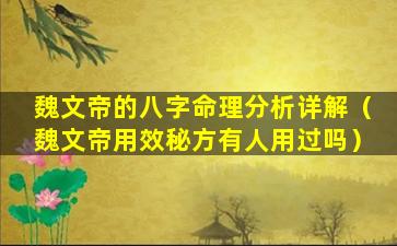 魏文帝的八字命理分析详解（魏文帝用效秘方有人用过吗）