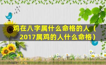 鸡在八字属什么命格的人（2017属鸡的人什么命格）