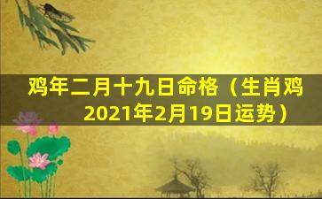 鸡年二月十九日命格（生肖鸡2021年2月19日运势）