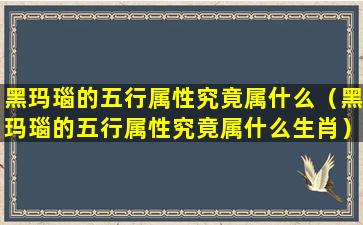 黑玛瑙的五行属性究竟属什么（黑玛瑙的五行属性究竟属什么生肖）