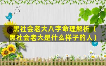 黑社会老大八字命理解析（黑社会老大是什么样子的人）