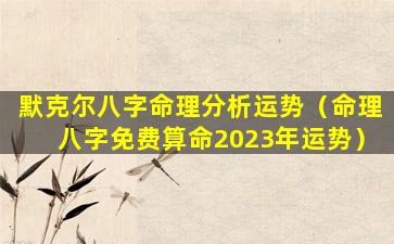 默克尔八字命理分析运势（命理八字免费算命2023年运势）