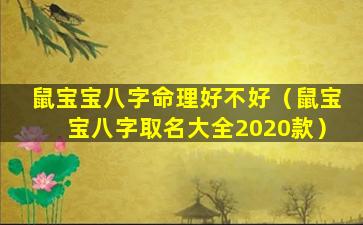 鼠宝宝八字命理好不好（鼠宝宝八字取名大全2020款）