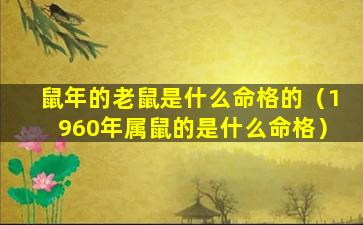 鼠年的老鼠是什么命格的（1960年属鼠的是什么命格）