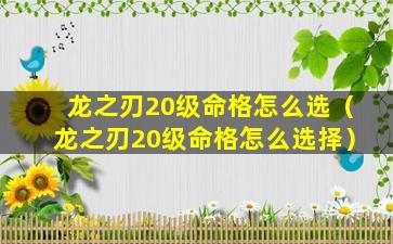 龙之刃20级命格怎么选（龙之刃20级命格怎么选择）