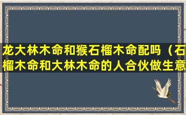 龙大林木命和猴石榴木命配吗（石榴木命和大林木命的人合伙做生意）