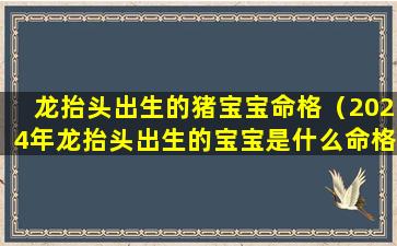 龙抬头出生的猪宝宝命格（2024年龙抬头出生的宝宝是什么命格）